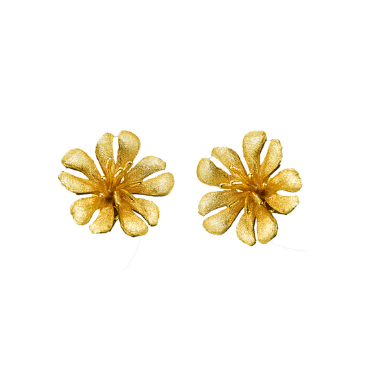 Sliver ring, shape as Flower with stone, Chandi earring, chandi ring, 18k gold plated, chandi online store.