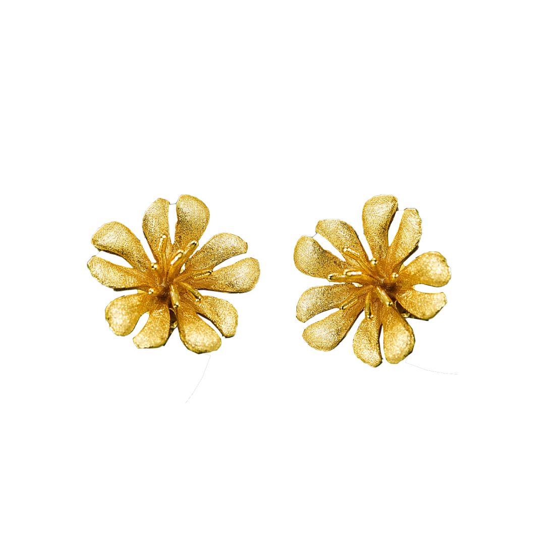 Sliver ring, shape as Flower with stone, Chandi earring, chandi ring, 18k gold plated, chandi online store.